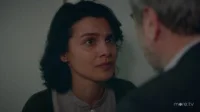 1 сезон 14 серия — Ветреный 14 серия