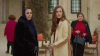 3 сезон 59 серия — Ветреный 59 серия
