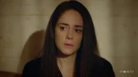 2 сезон 73 серия — Ветреный 73 серия