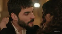 3 сезон 74 серия — Ветреный 74 серия