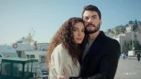 2 сезон 81 серия — Ветреный 81 серия