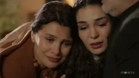 3 сезон 91 серия — Ветреный 91 серия