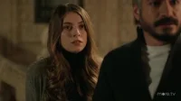 3 сезон 89 серия — Ветреный 89 серия